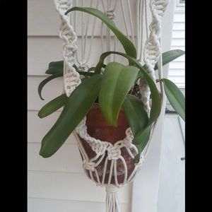macrame crochet plant hanger (Large)